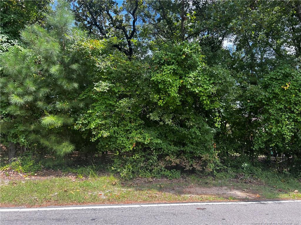 a view of a yard with a tree