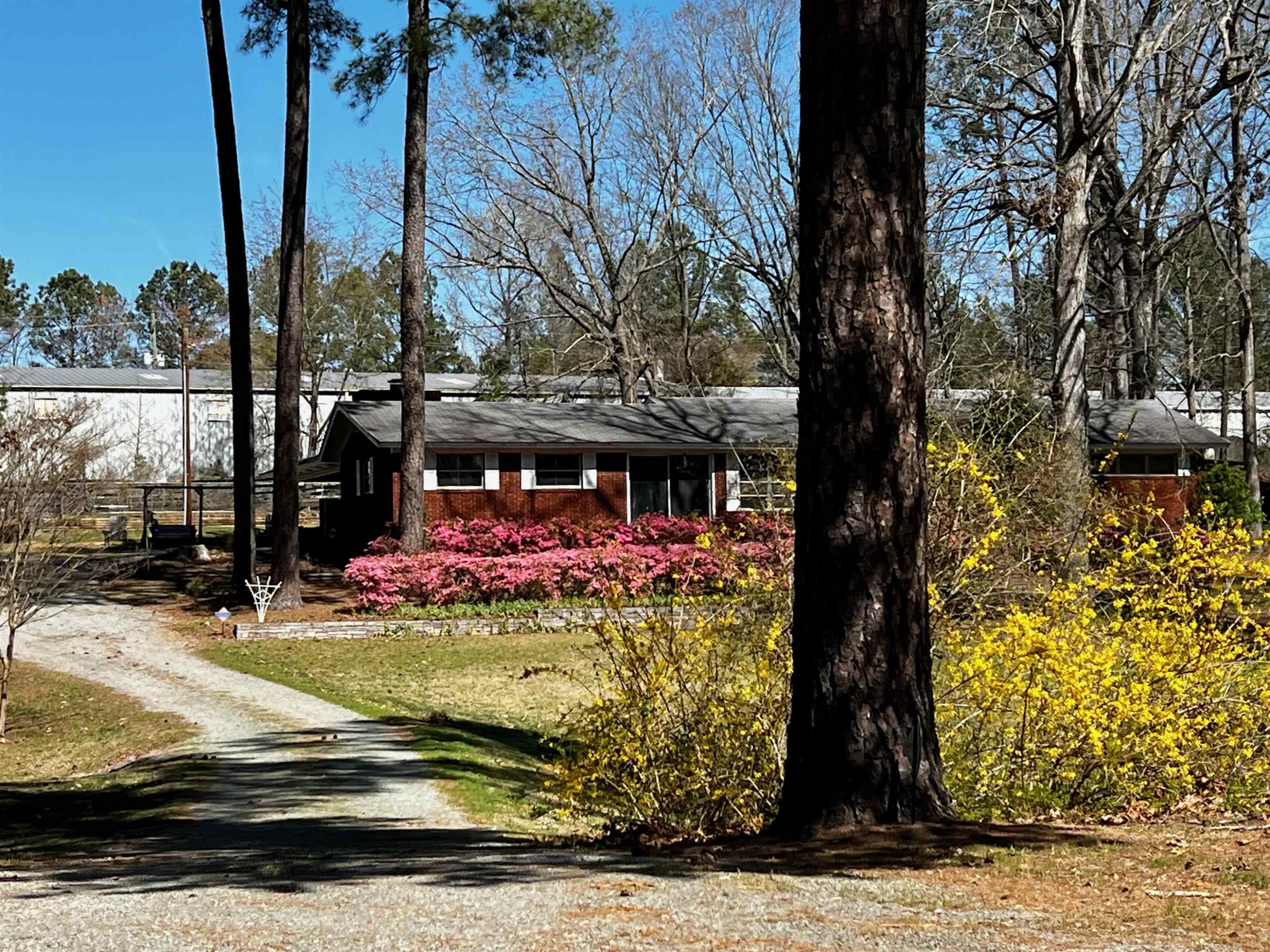 a view of a garden