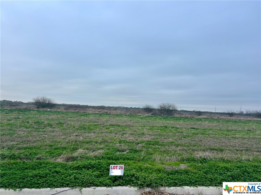 a view of a field with an trees