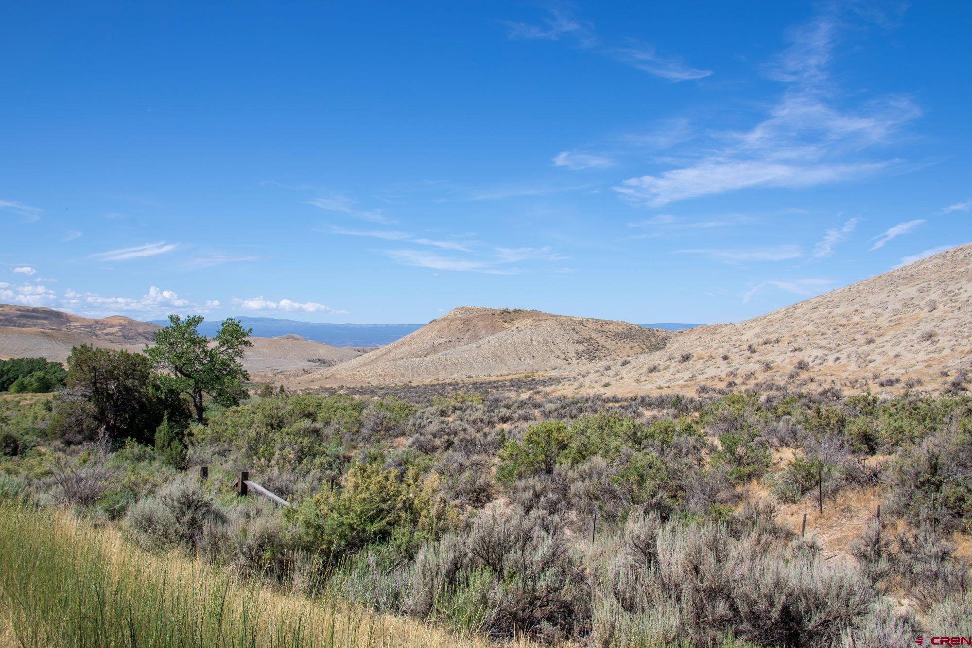 a view of a mountain range with trees in the background