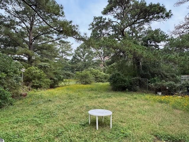 a lawn chairs sitting in a yard with large trees