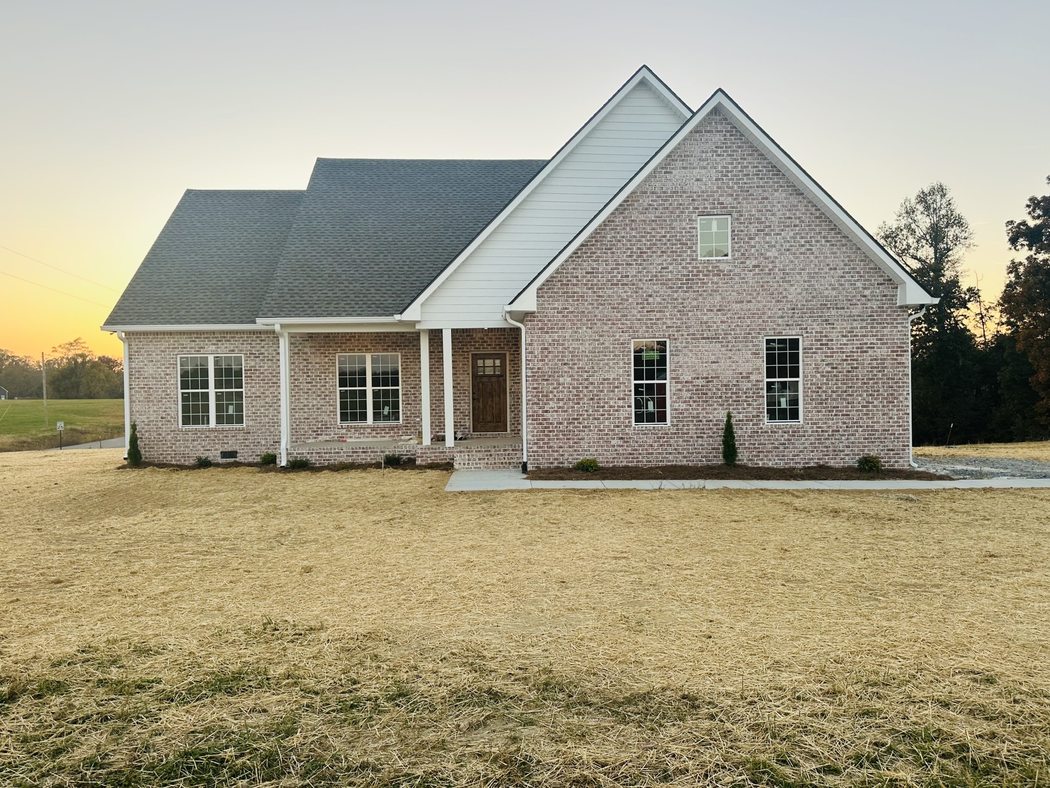 a front view of a house with yard