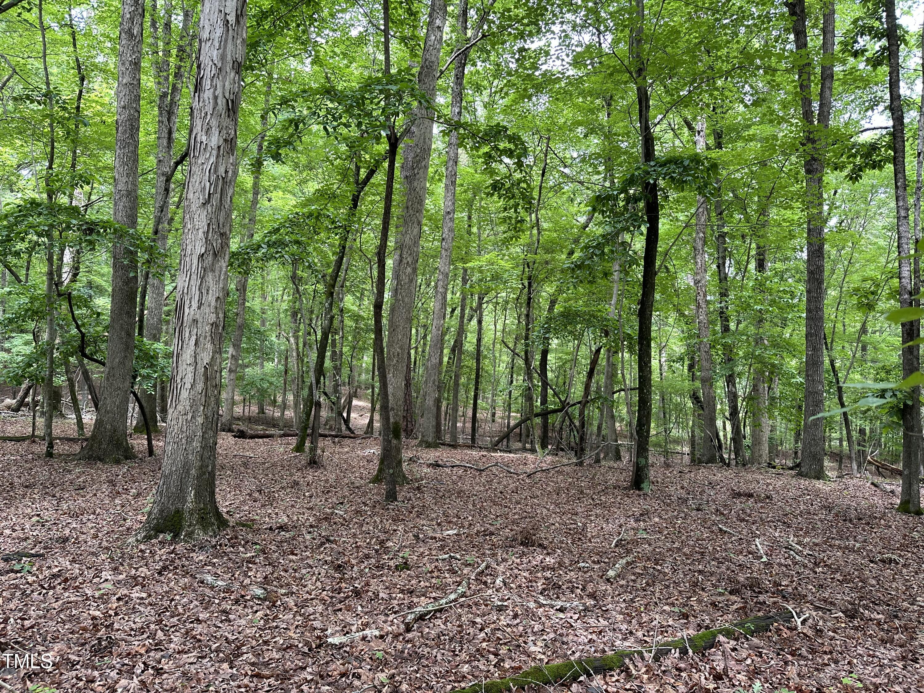 a view of outdoor space with lots of trees