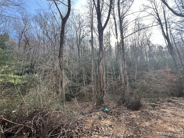 $26,500 | Lot 19 Oakdale Estates Drive | Crooked Creek Township - McDowell County