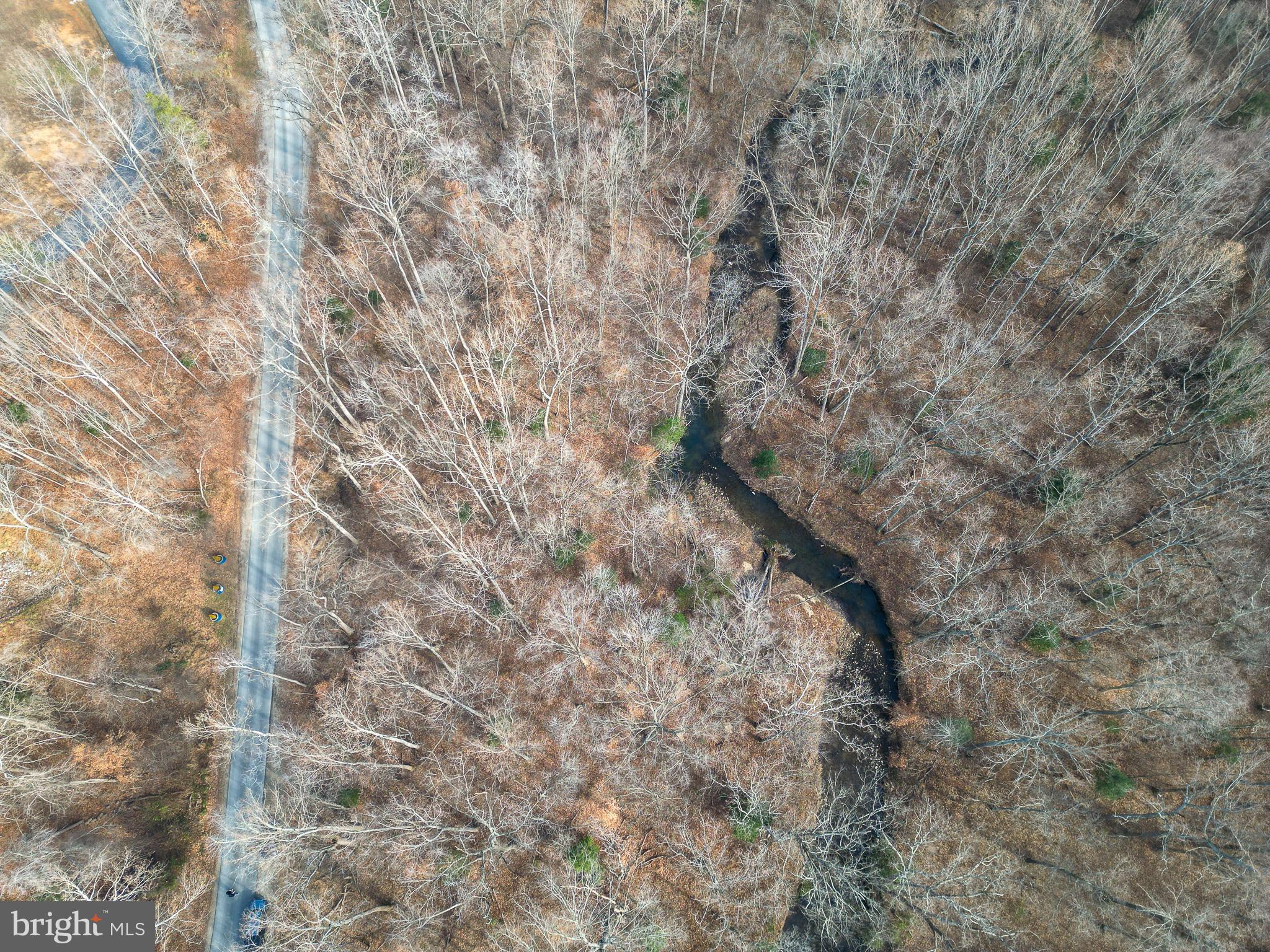 a view of a dry yard with a tree