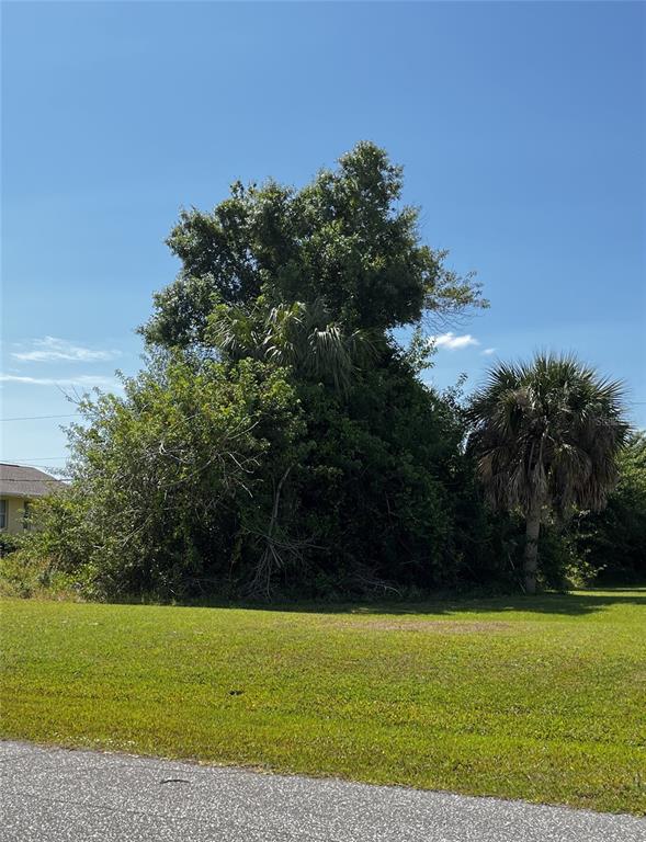 a view of a field with an trees