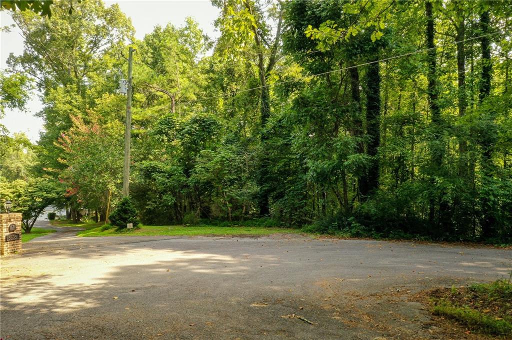 a view of a yard with a trees