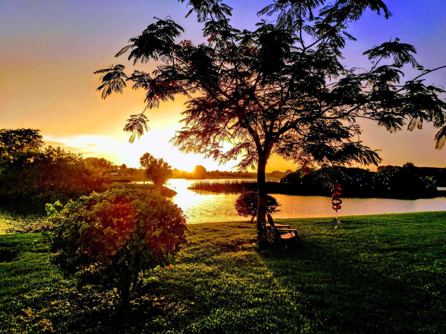 a view of a lake