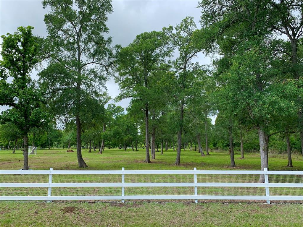 a view of a park