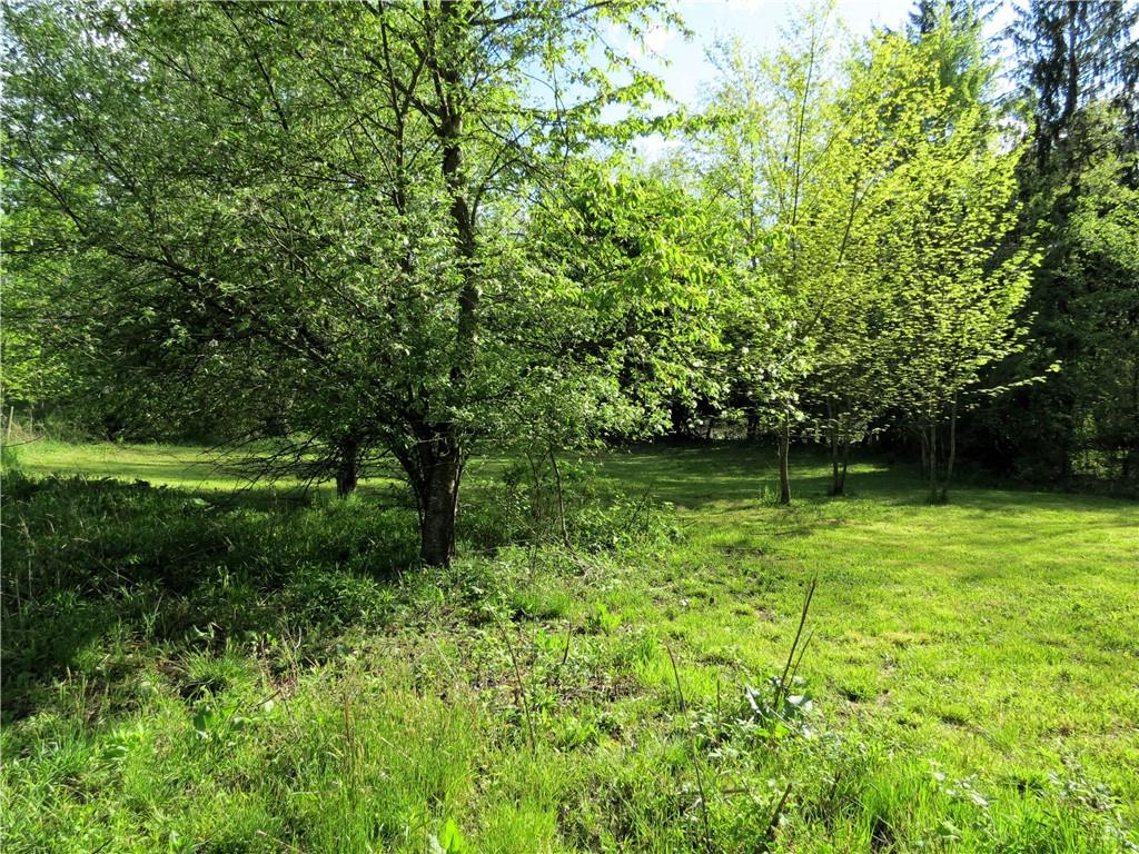 a view of backyard with green space