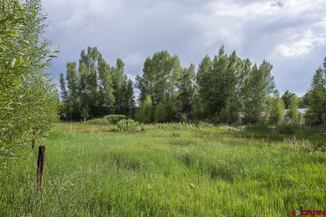 a view of a lush green space