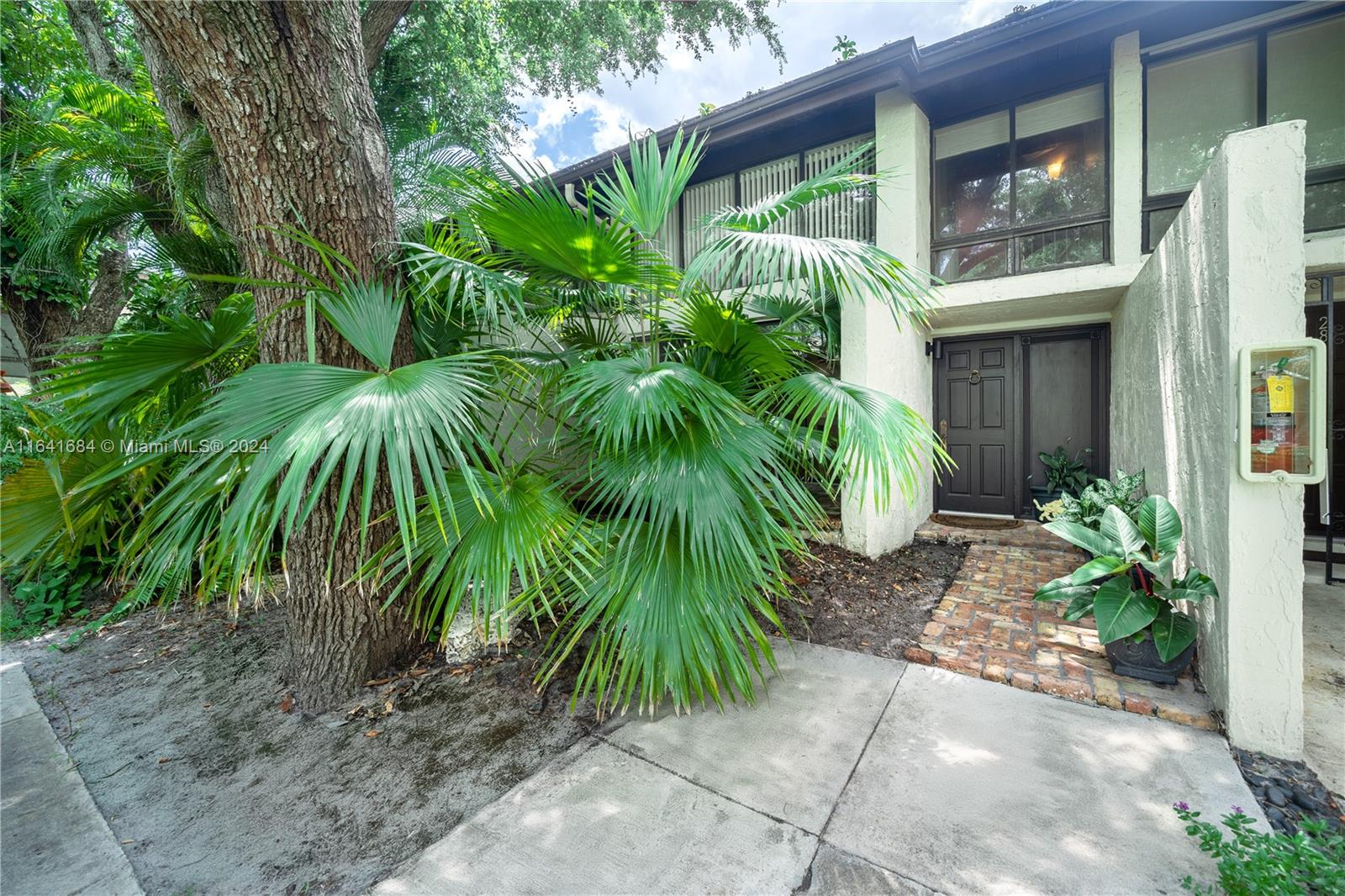 a plant is in front of a house