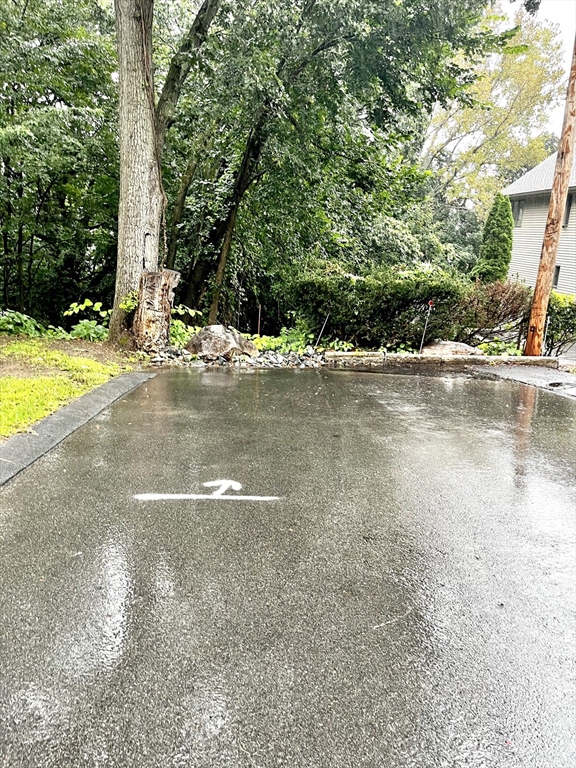 a view of a house with a yard and large trees