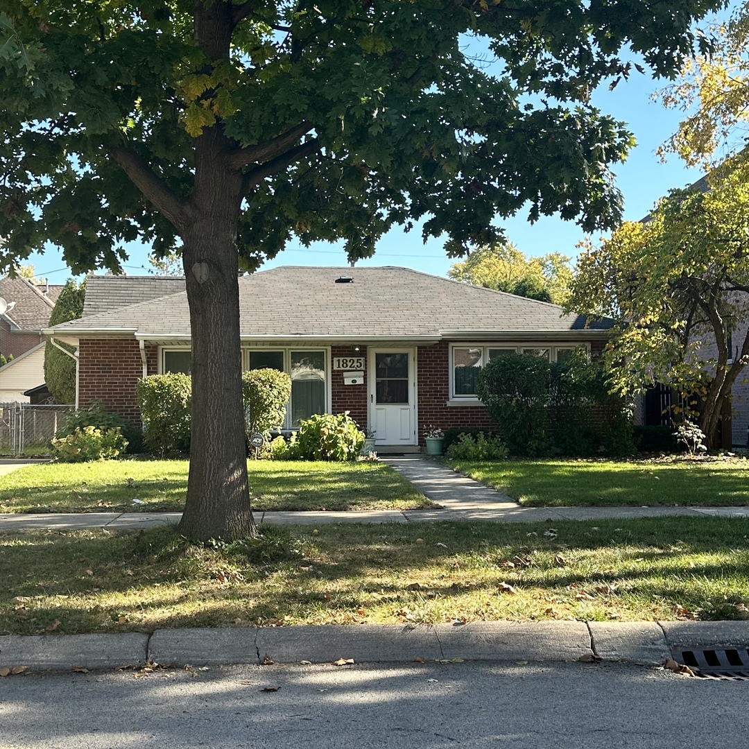 a house with a big yard plants and large trees