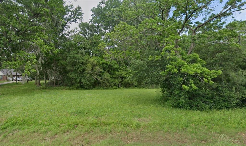 a view of a green yard