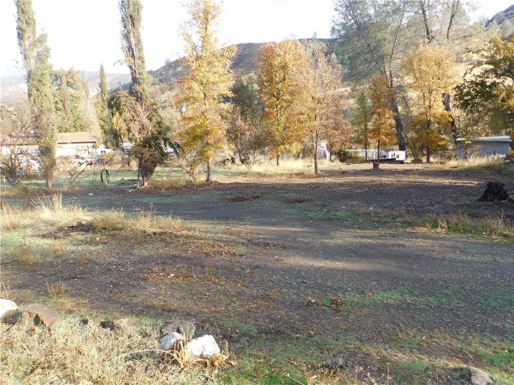 a view of dirt yard with a large tree