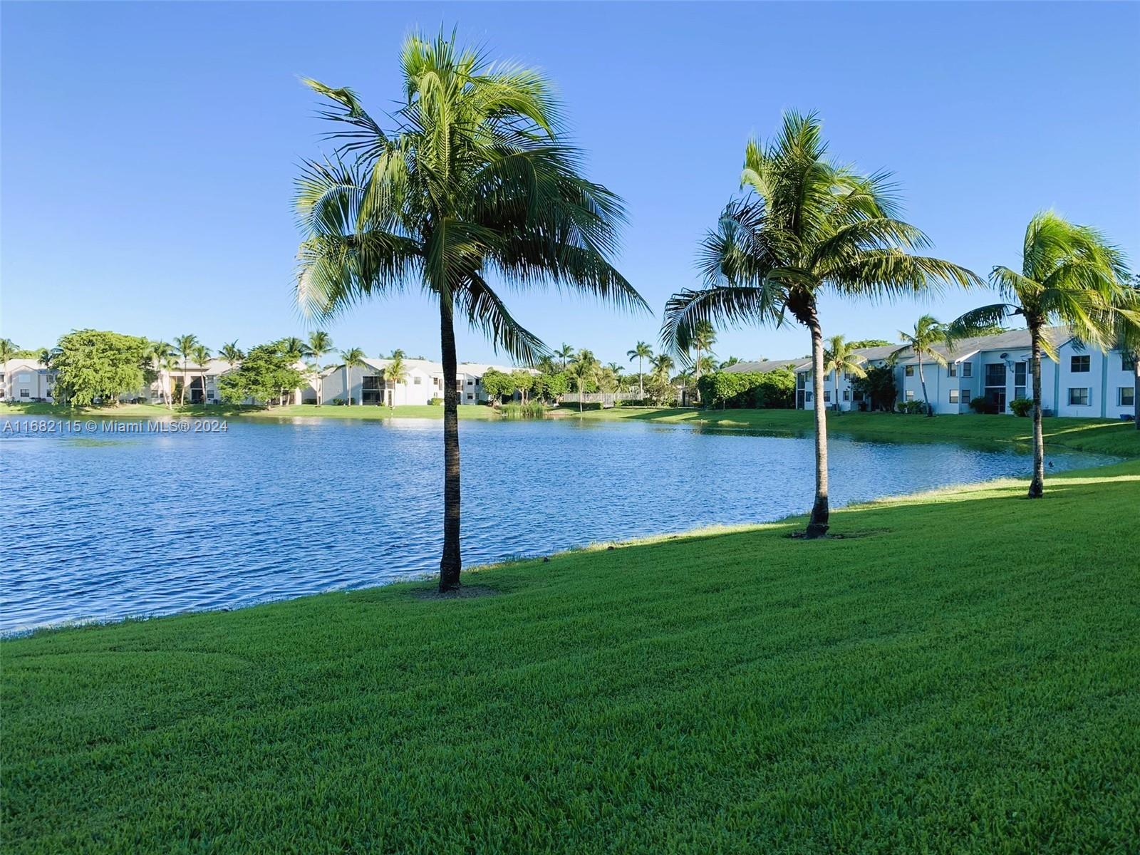 a view of a park and palm trees