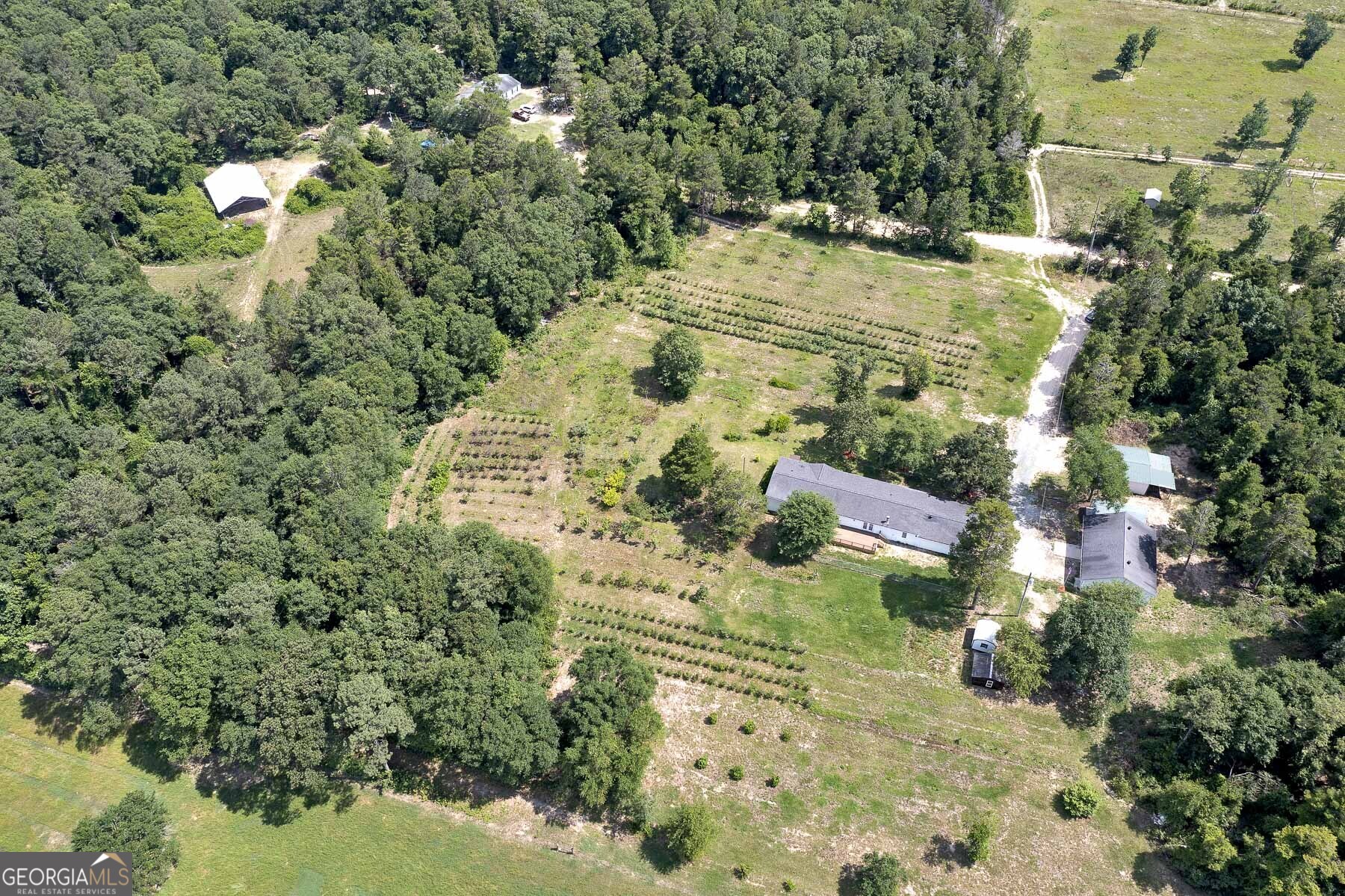 31+ Acre Working orchard with a 4 bed 2 bath home.