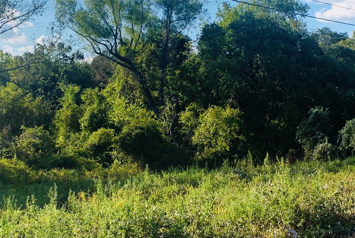 a view of a garden