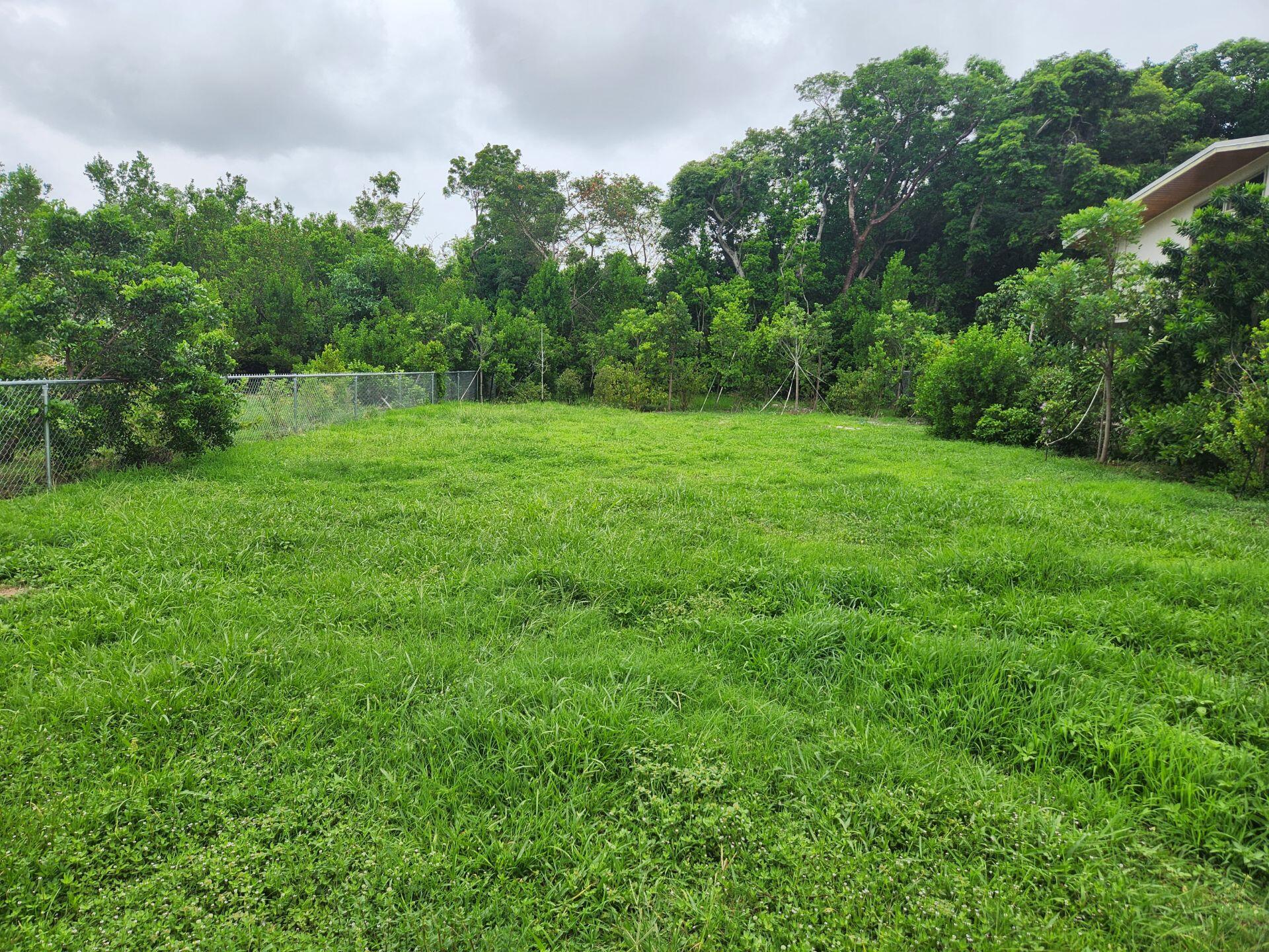 a view of a grassy field with trees in the background