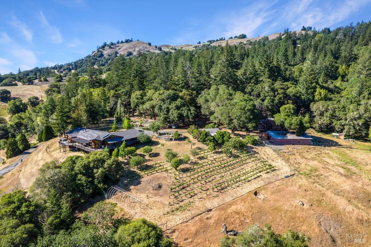 a view of a backyard of a house with a yard