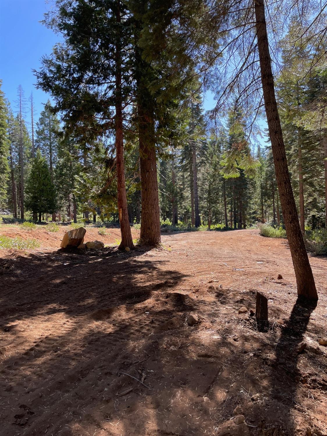 a view of outdoor space with trees