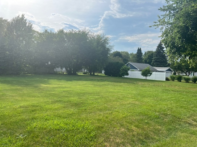 a view of a field with an trees