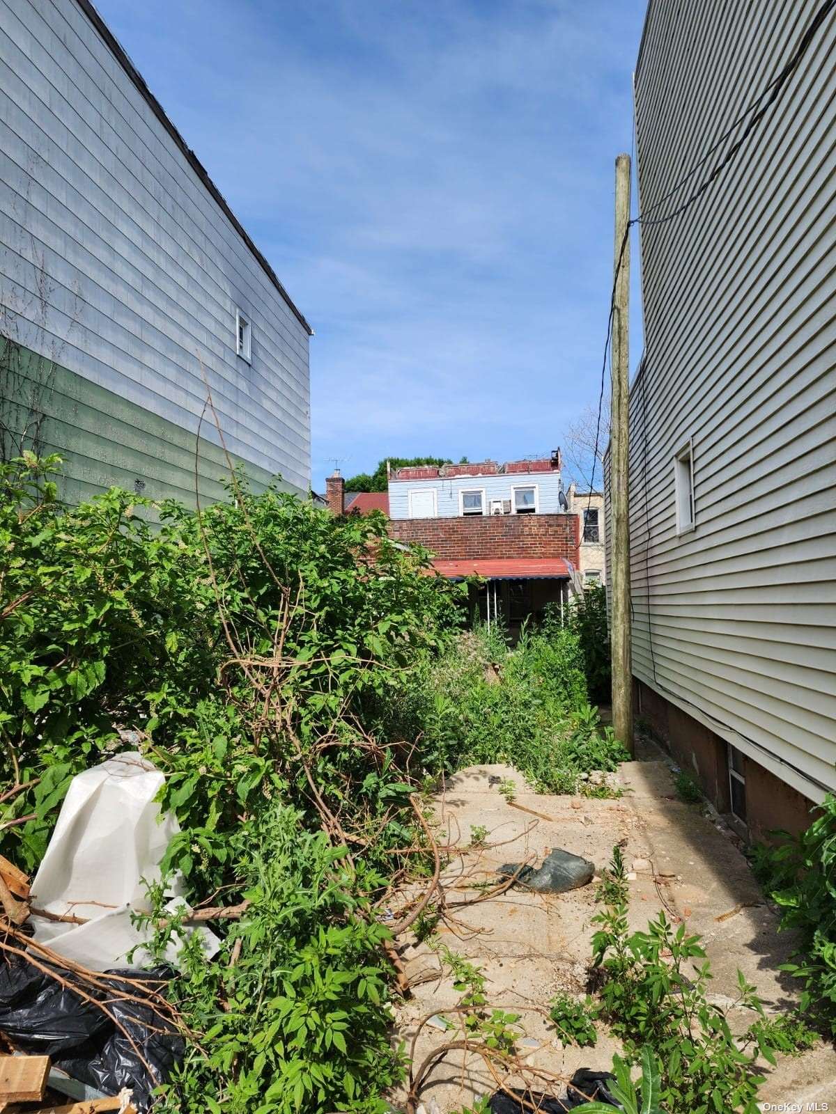 a view of a backyard with plants and a bench