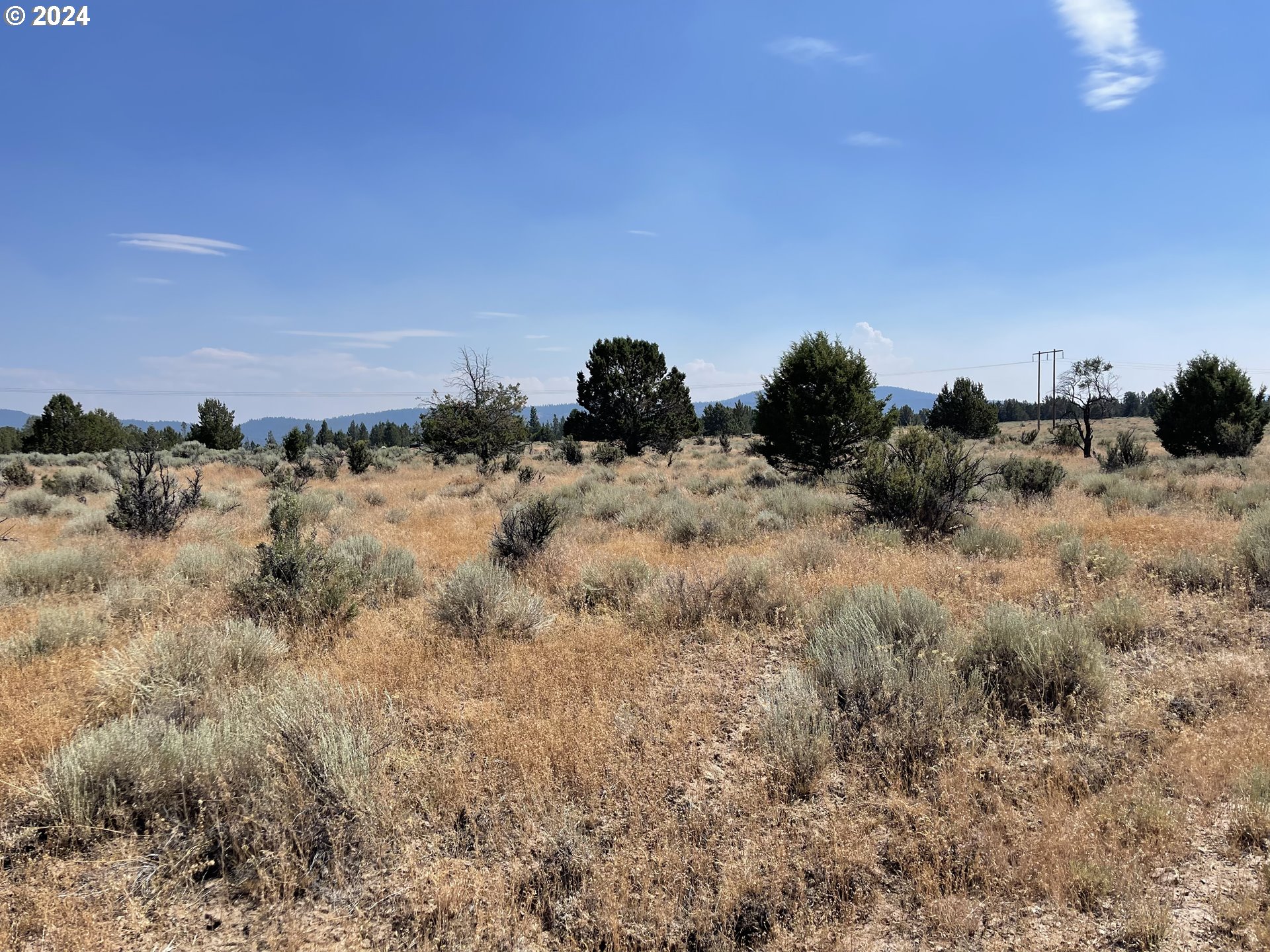 a view of a dry field with trees in the background