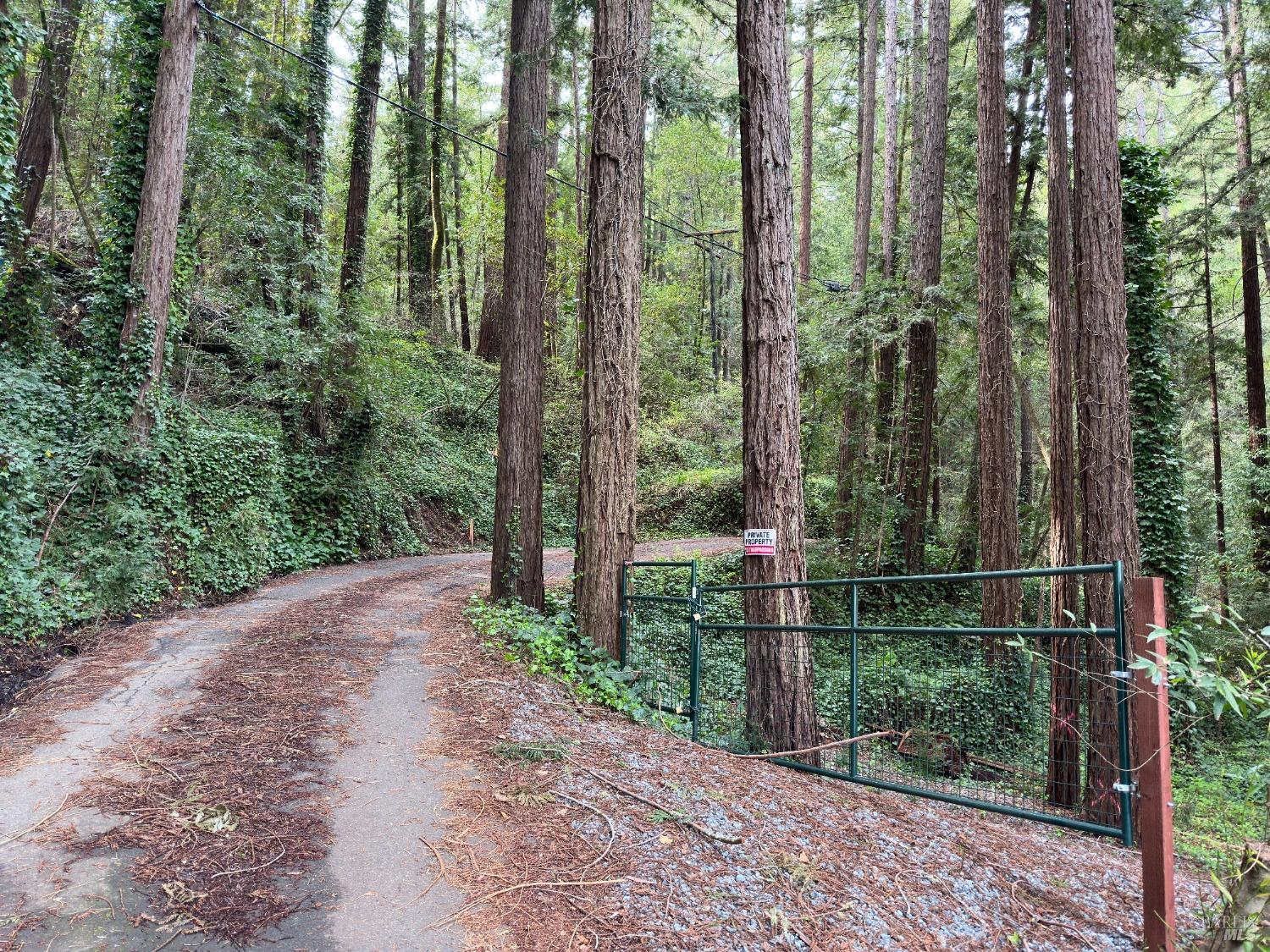 a view of a backyard with trees