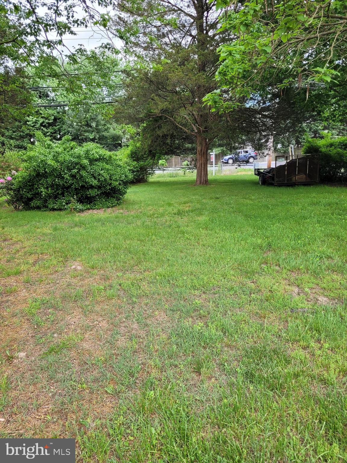 a view of a field of grass and trees