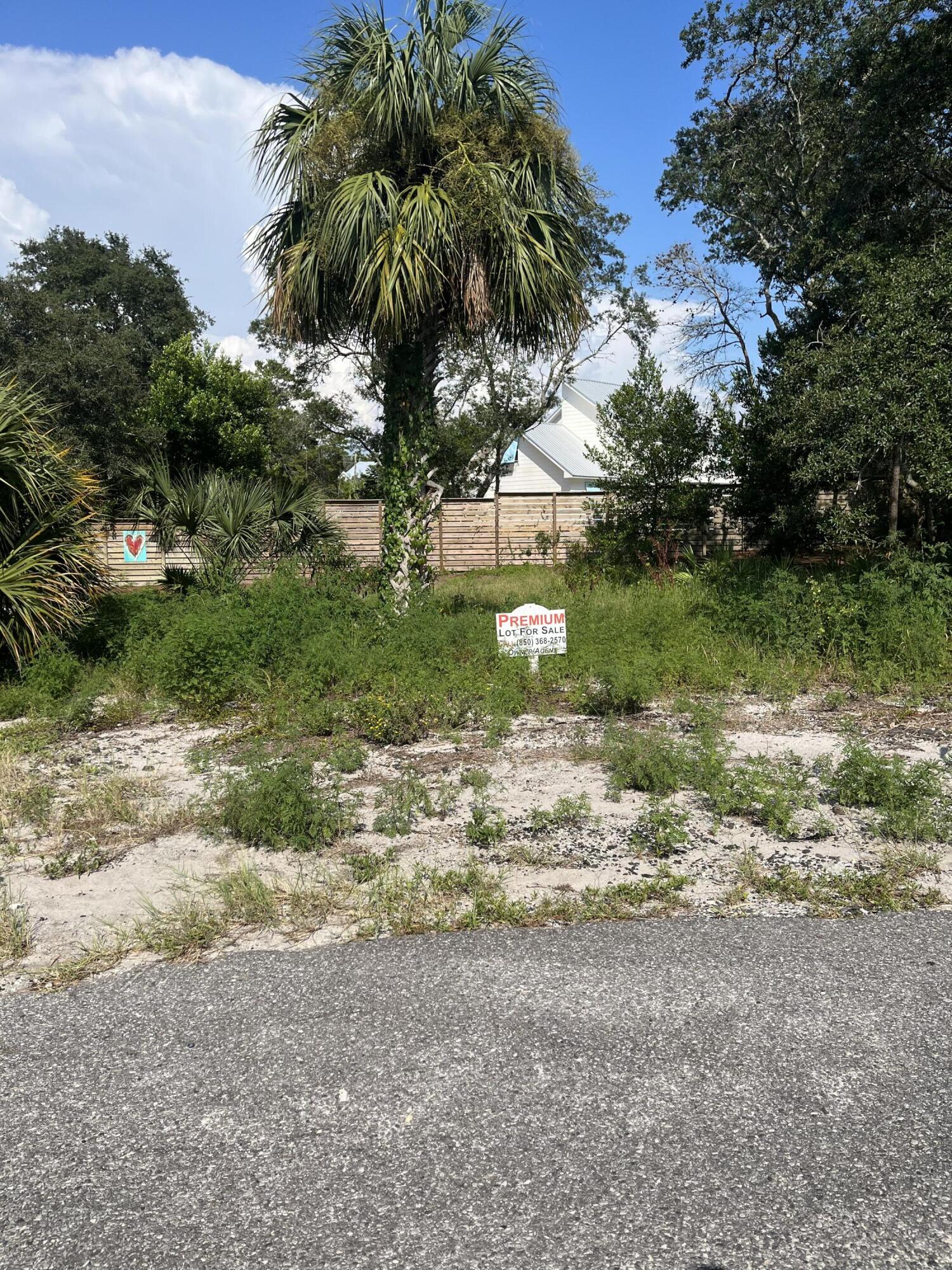 a view of a yard with a tree