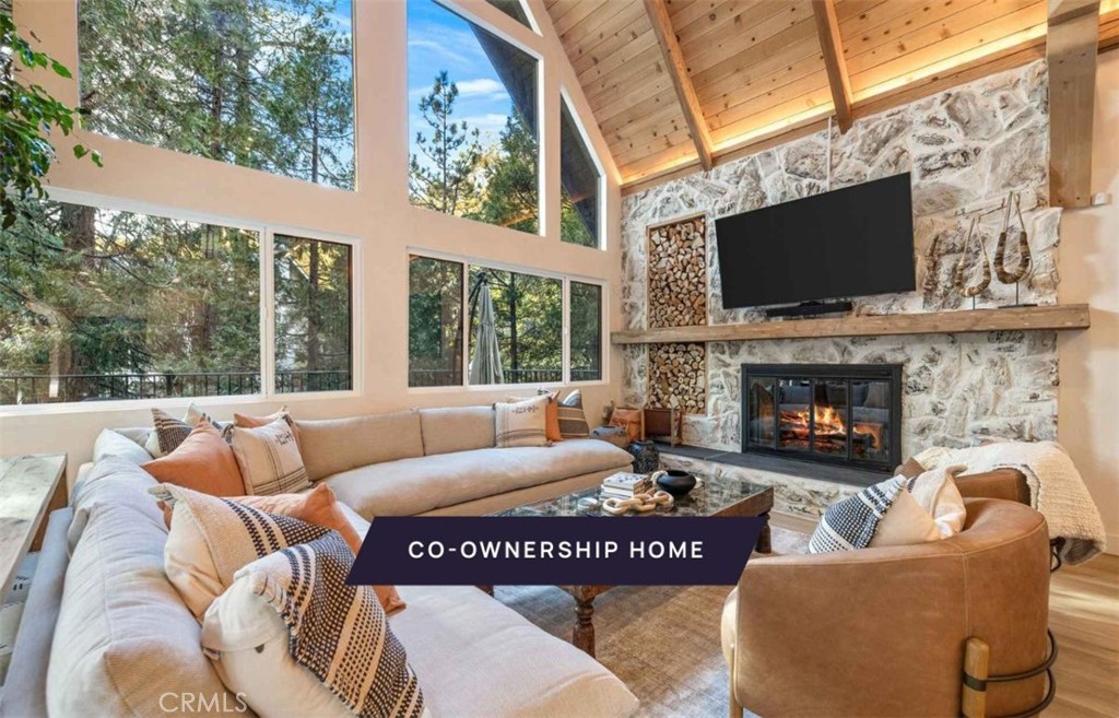 a living room with furniture a flat screen tv and a fireplace