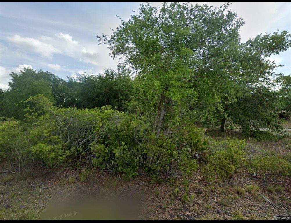 a view of a yard with a tree