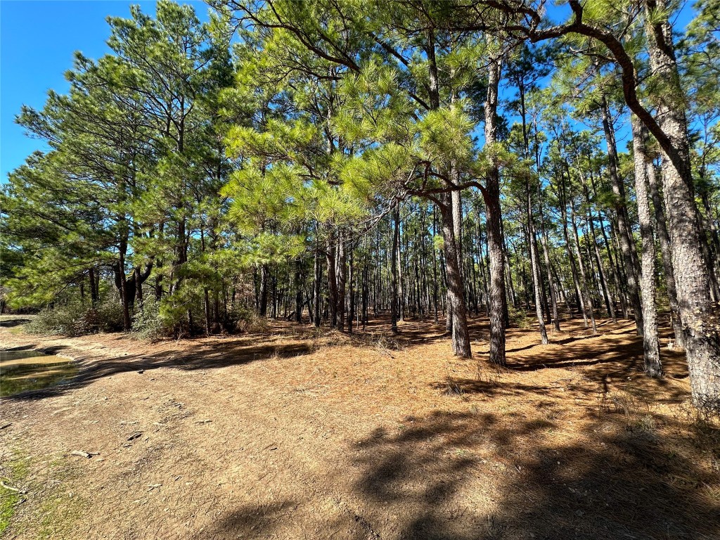 a view of outdoor space with trees