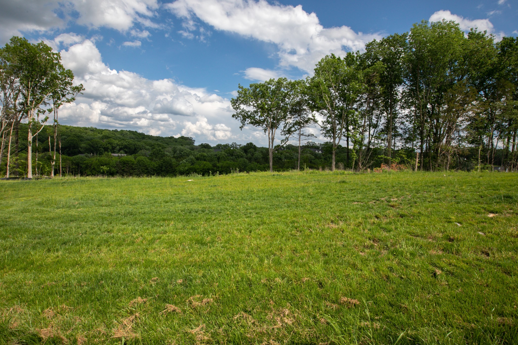 a view of a park