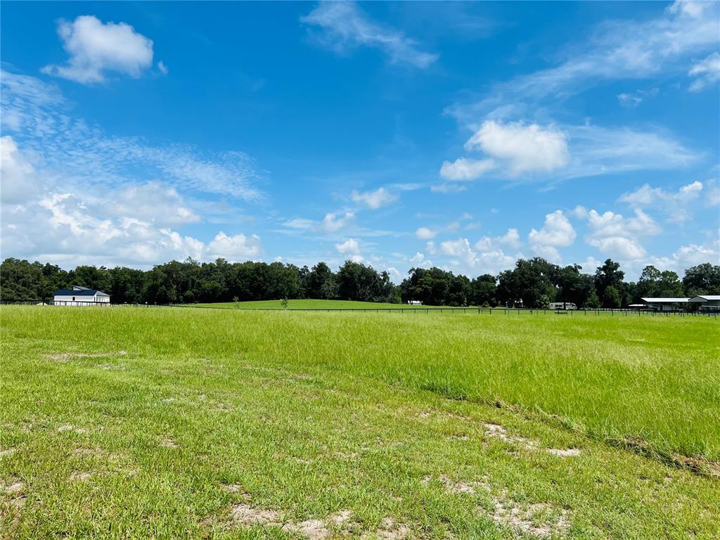 a view of field with an ocean