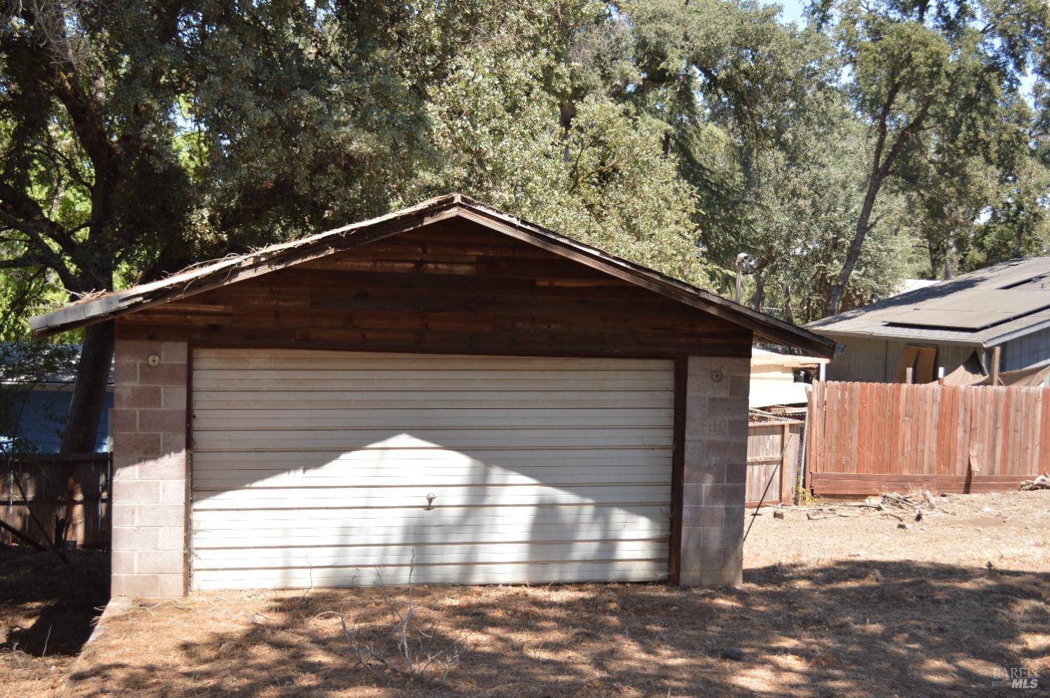 a view of backyard with large tree