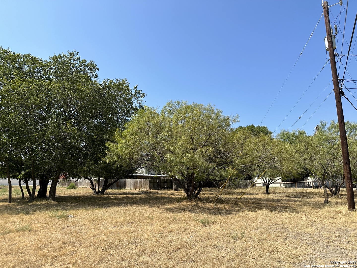 a view of a yard with trees