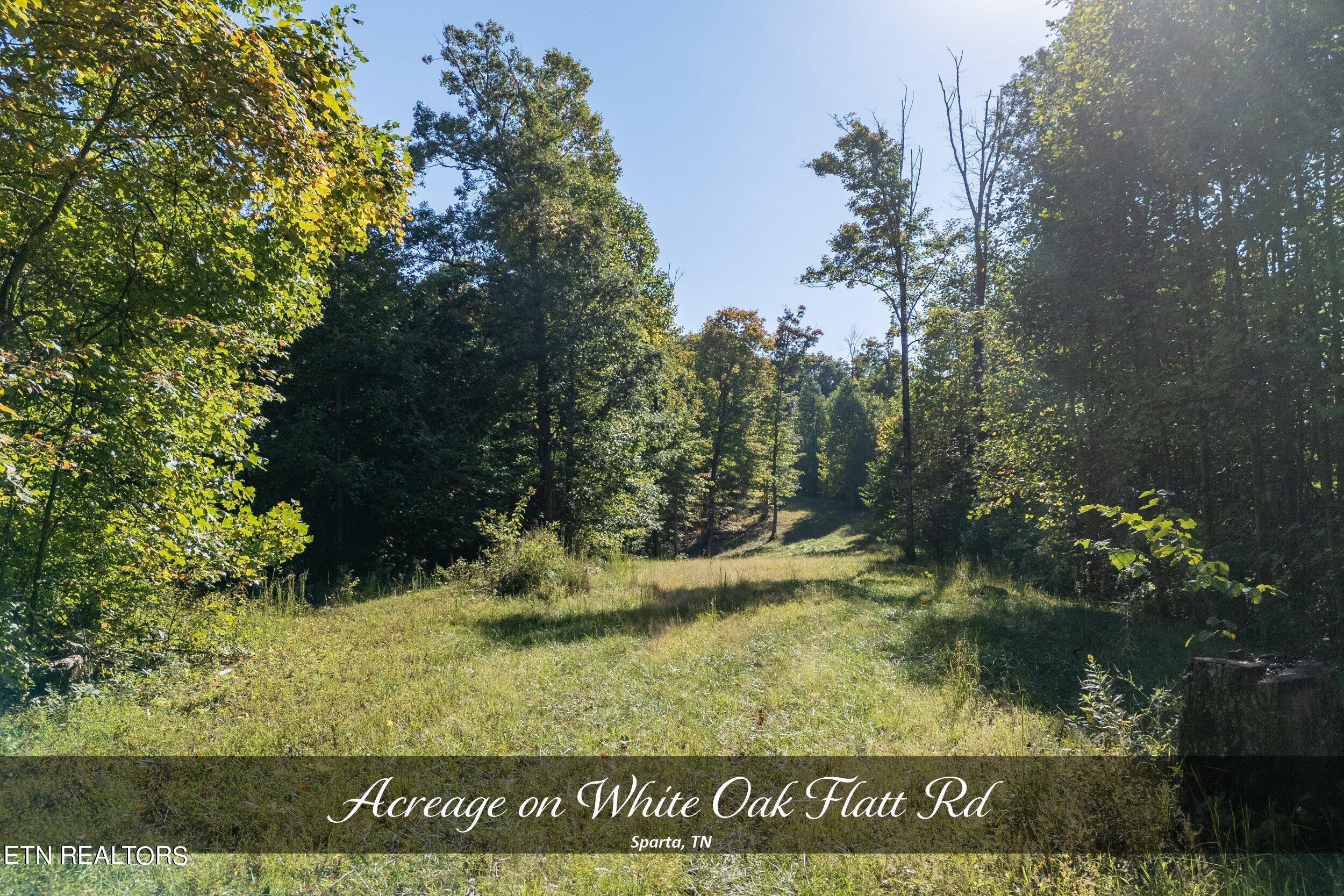 acreage on white oak flatt rd