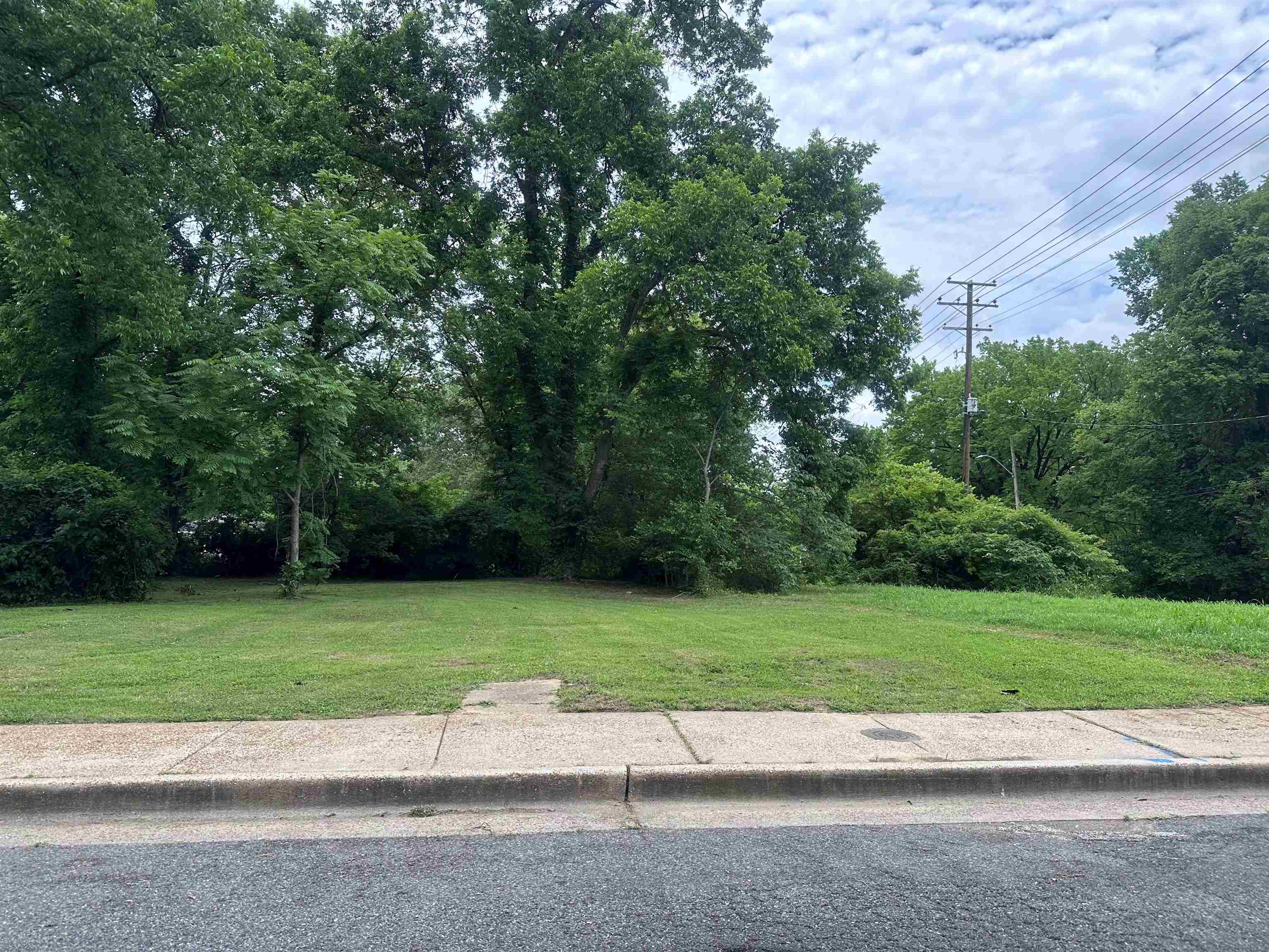 a view of a park with a trees