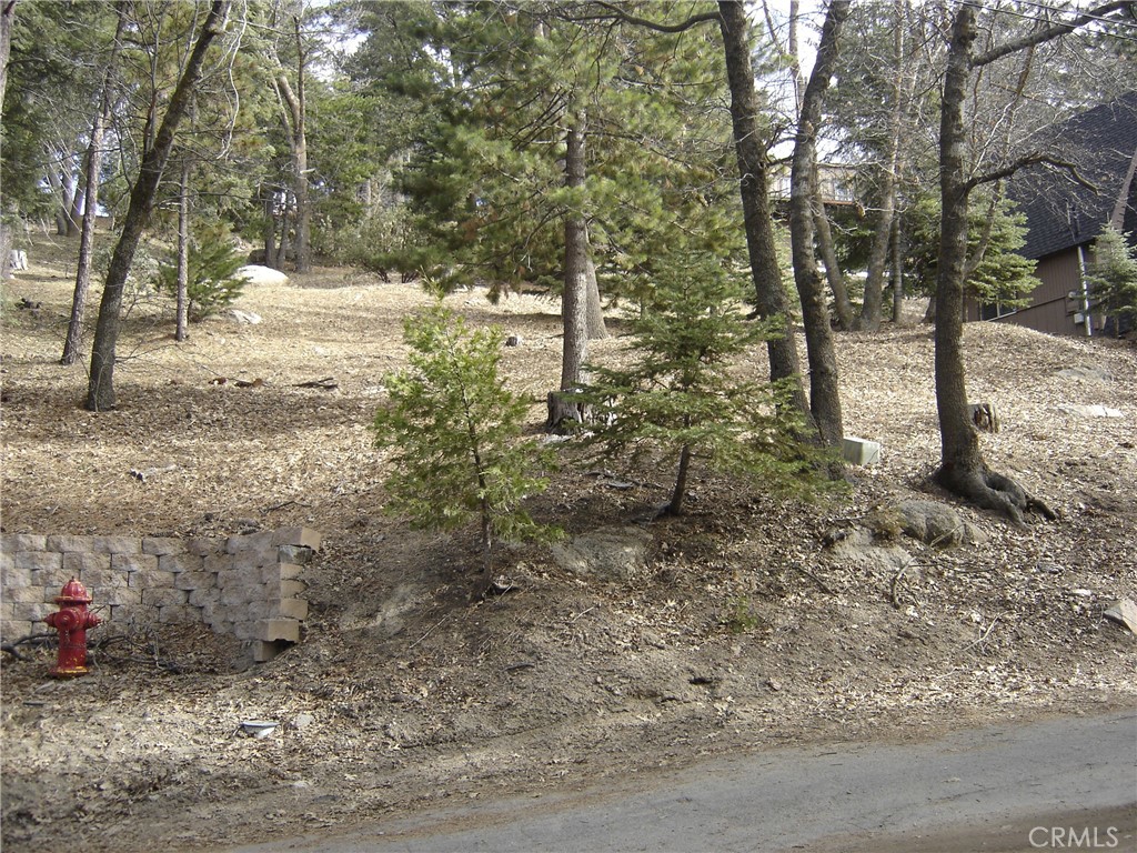 a view of a yard with large trees