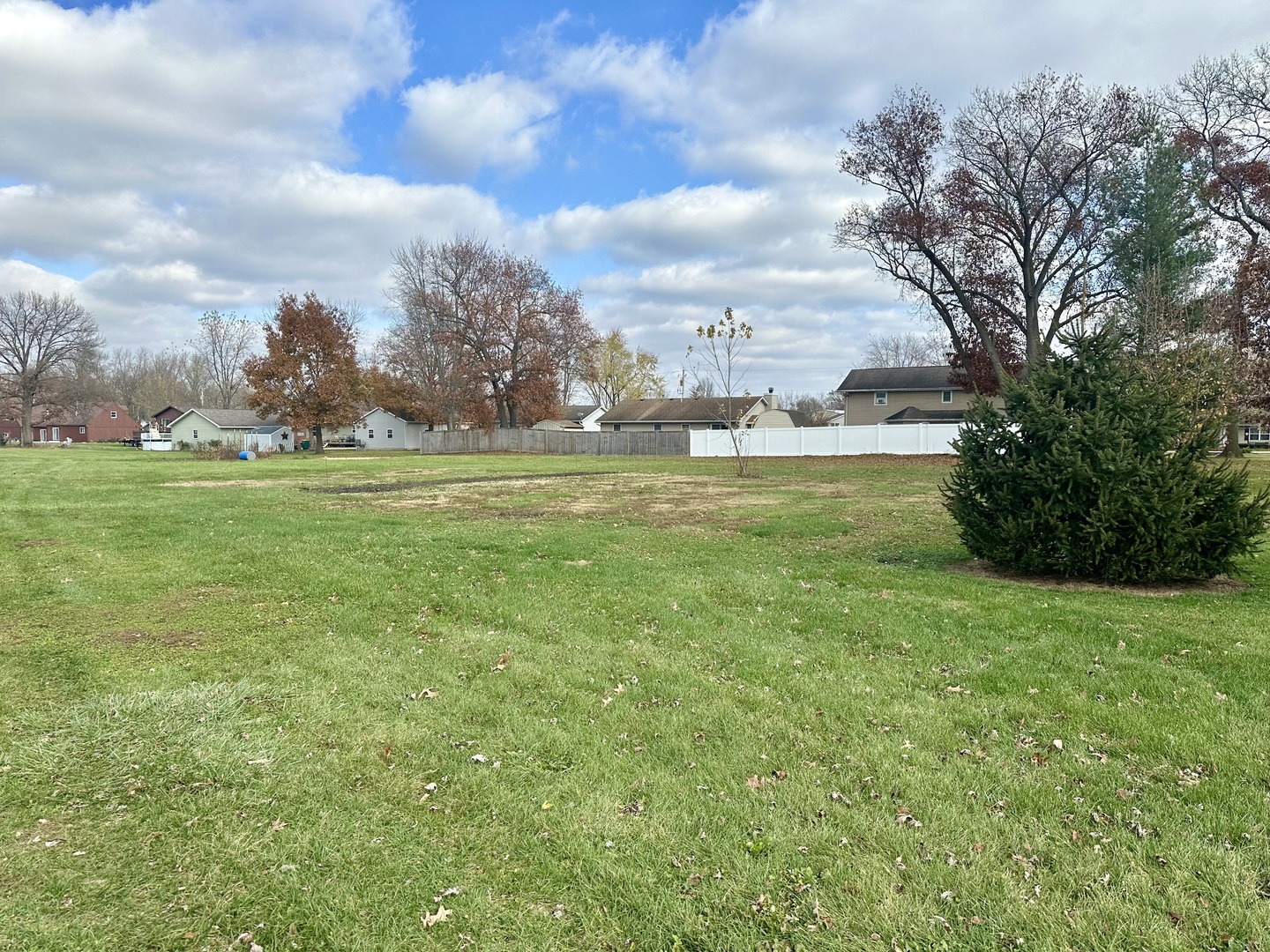 a view of a big yard with large trees