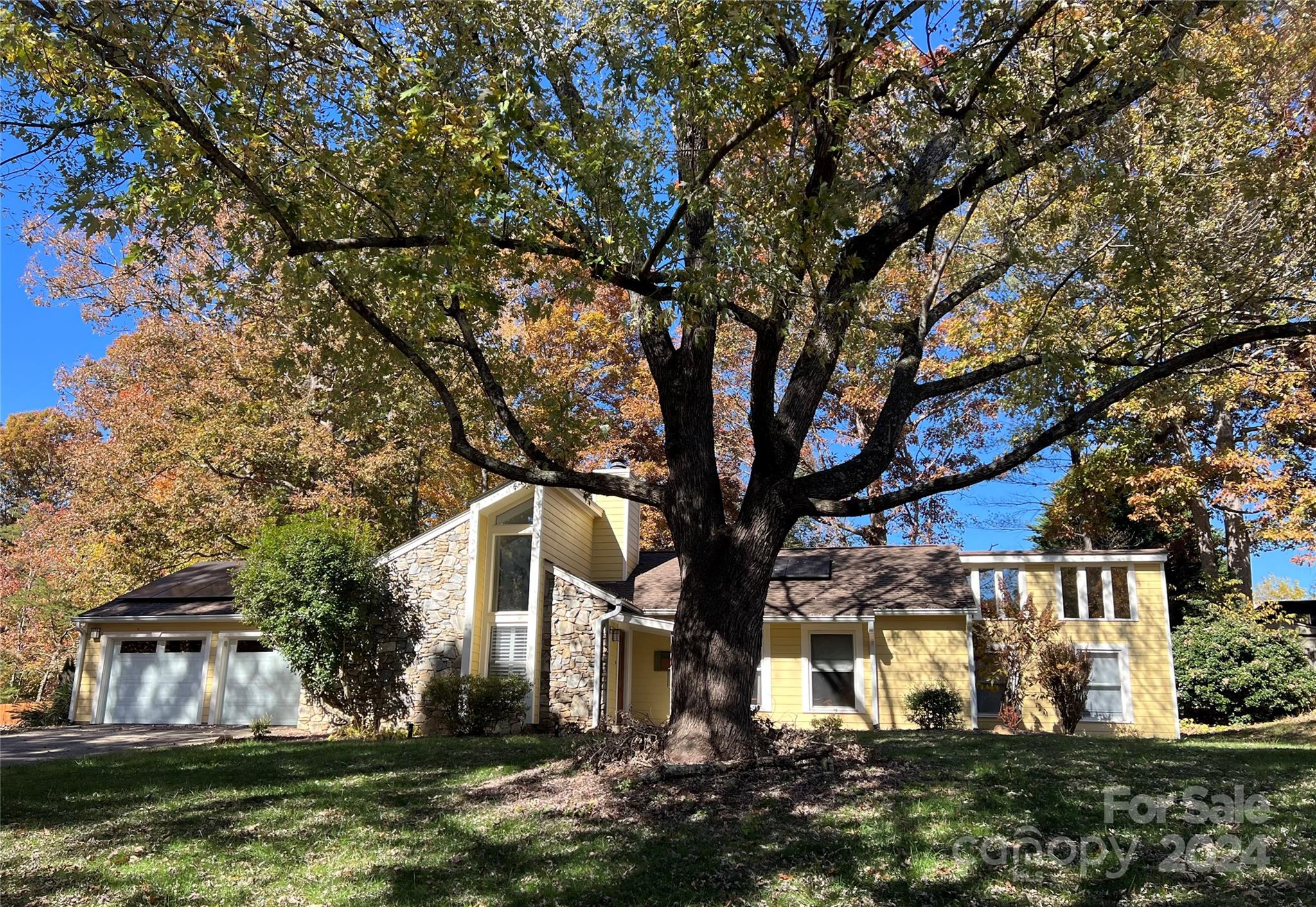 a front view of a house with a yard and large trees