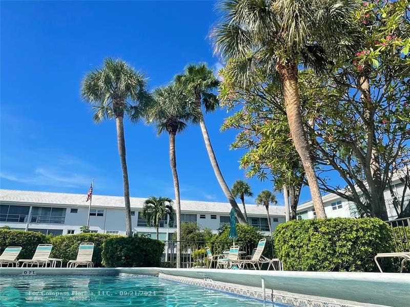 a view of a house with a palm tree and a yard