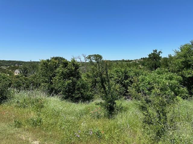 a view of a lush green space