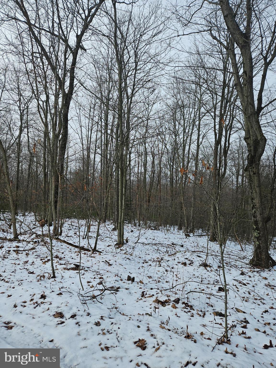 a view of snow on the road