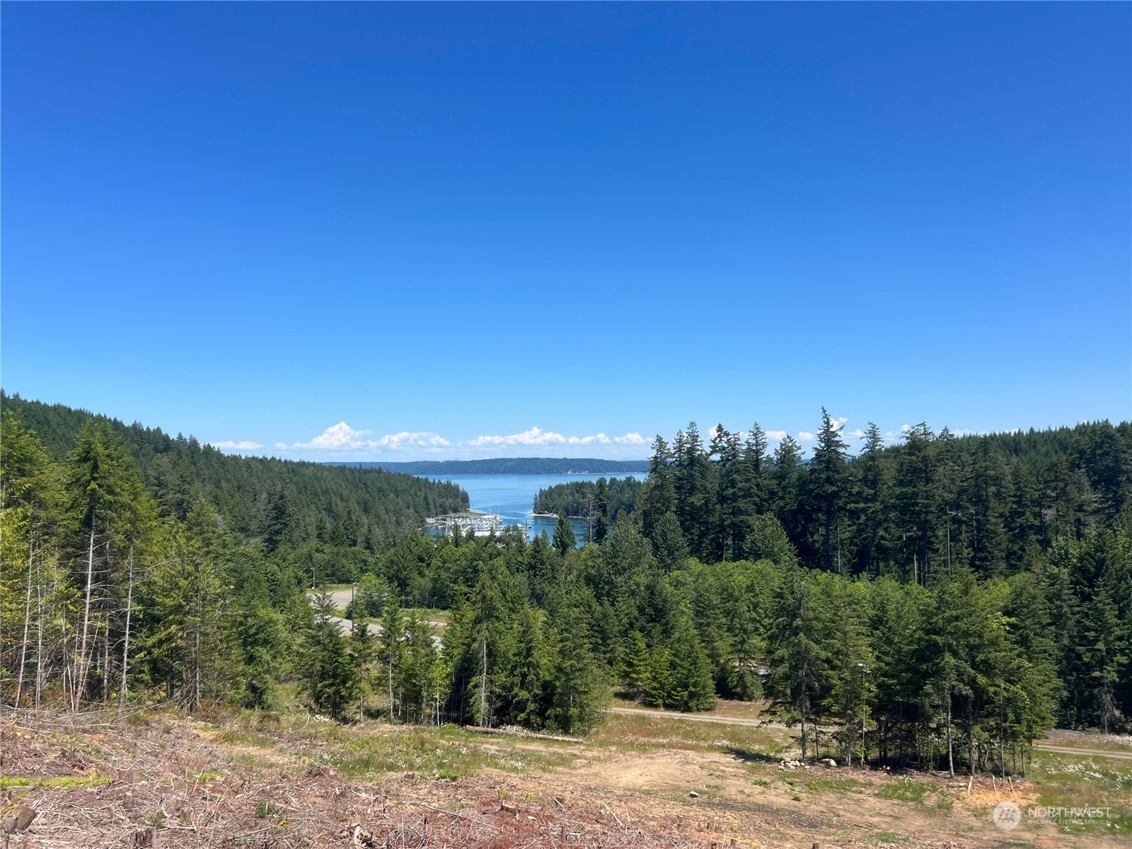 a view of a lake with a mountain in the background