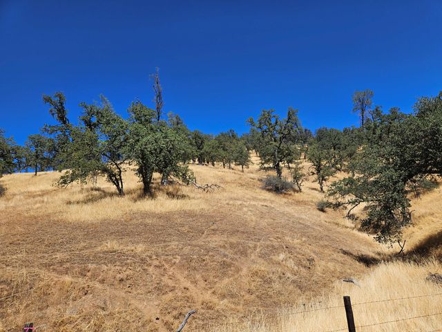 $110,000 | 119-acres Platina Road