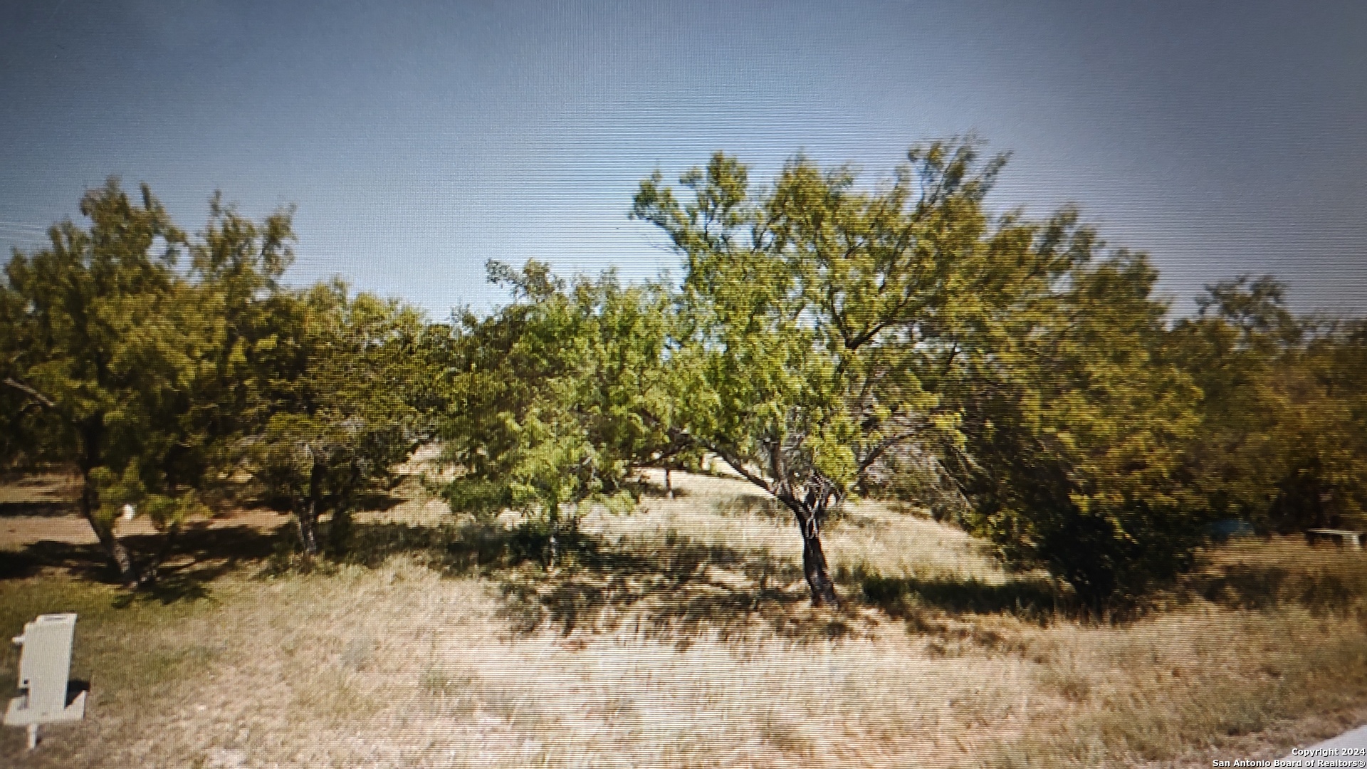 a view of a tree in front of a house